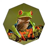 Viaje umbralla-windproof compacto paraguas plegable portátil con marco reforzado, 8 varillas...