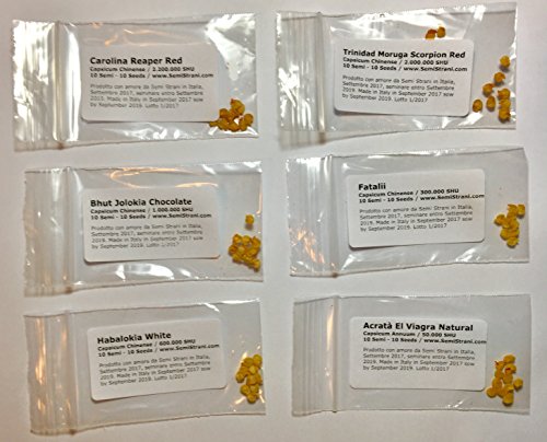 60 REINEN SAMEN der 6 HEIßESTEN UND SCHMACKHAFT CHILI in der WELT – KOLLEKTION 6 BIS: TRINIDAD MORUGA SCORPION RED, BROWN BHUTLAH, FATALII, CHEIRO ROXA, HABANERO YELLOW BULLET, SATAN’S KISS – DIE FRüCHTE SIND NICHT ENTHALTEN - 2