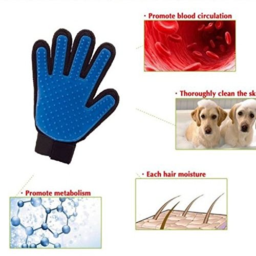 Handschuh True Touch für die Reinigung des Fells von Hund oder Katze - 5