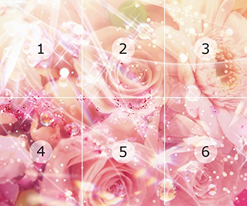 Fototapete Bild-Tapete ROSEN-MIX 300x250cm Wandbild Bordüre Wandtatoo Wanddeko wall mural wallpaper - 3