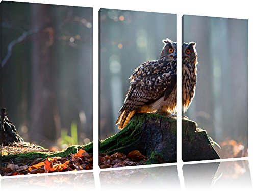 the startled owl on the tree trunk 3-piece canvas picture 120x80 image on canvas, XXL huge Pictures completely framed with stretcher, art print on mural frame gänstiger as painting or an oil painting, not a poster or banner,
