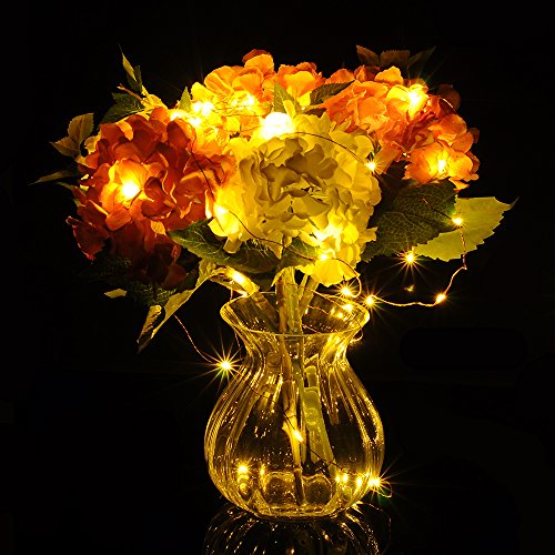 VicTsing Wasserdicht 39ft 6V String Sternenhimmel leuchten mit 240 Warm weißen LEDs, Kupferdraht, CE, RoHS, UL-Zertifizierung, DC1000mA Netzteil für draußen Indoor Hochzeit Partei DIY - 5