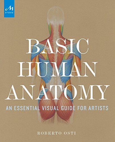 Livres Couvertures de Basic Human Anatomy: An Essential Visual Guide for Artists