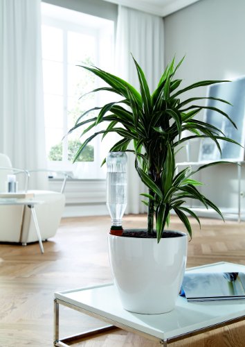 Bio Green Bewässerung Hydro Classic Tonkegel, terracotta/grün - 3