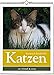 Wochenwandkalender: Katzen - literarisch durchs Jahr 2019. Vierfarbig, Format 24 x 32 cm by 