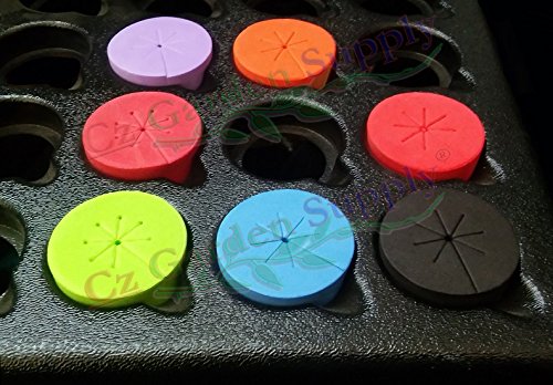 50 PACK BLACK – NEW SPOKE DESIGN – Net Pot Cloning Collars Inserts DIY Cloner and Clone Machines by Cz Garden Supply® - 3