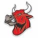 Produktbild 2 x Angry Red Spanisch Bull Vinyl Aufkleber Aufkleber Laptop Auto Reise Gepäck Label Tag #/ - 20cm/200mm Wide