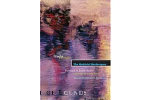 The Matrixial Borderspace: Volume 28 (Theory Out of Bounds)