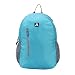 PinStar Wanderer Foldable Backpack - Persian Green (OS) RS.429.00