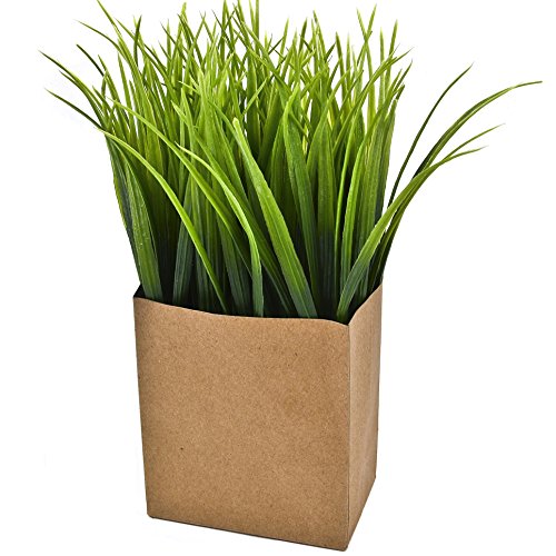 Gras Deko Pflanze Kunstblume 25x10x6cm grün Trend Floral Design