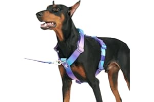 Spark Paws Anti-Zieh-Y-Hundegeschirr – Entwickelt für Sicherheit und Kontrolle - 90s Retro - M