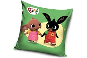 CARBOTEX Bing Bunny Federa per Cuscino Quadrato per Bambini 40x40 Bing e Sula Verde