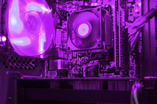 VIBOX Pyro GS370-81 Gaming PC – 3,9GHz Intel i3 Dual Core CPU, GTX 1070, leistungsfähig, Hochleistung, leistungsstärker, Spec, Desktop Gamer Computer mit Spielgutschein, Grün Innenbeleuchtung, lebenslange Garantie* (3,9GHz Intel i3-7100 Dual-Core Kabylake CPU-Prozessor, Nvidia GeForce GTX 1070 8GB Grafikkarte, 16GB DDR4 2133MHz RAM, 1TB (1000GB) SATA III HDD 7200rpm Festplatte, Aerocool 600W 85+ Netzteil, CIT Storm Grün Gaming Geh§use, Intel B250 LGA1151 Mainboard, Ohne Windows Betriebssystem) - 5