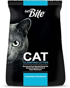 maltese shih tzu toy poodle