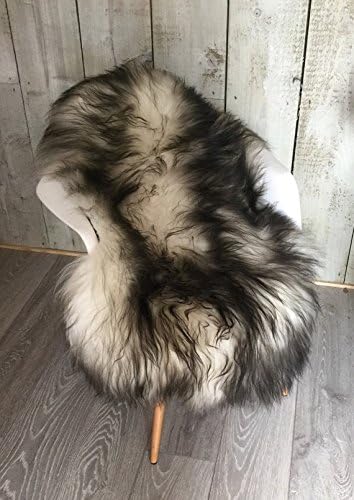 Swedishdalahorse Stunning Ivory Icelandic Sheepskin Rug with Dark Tips Supersoft Long Haired Large Rug
