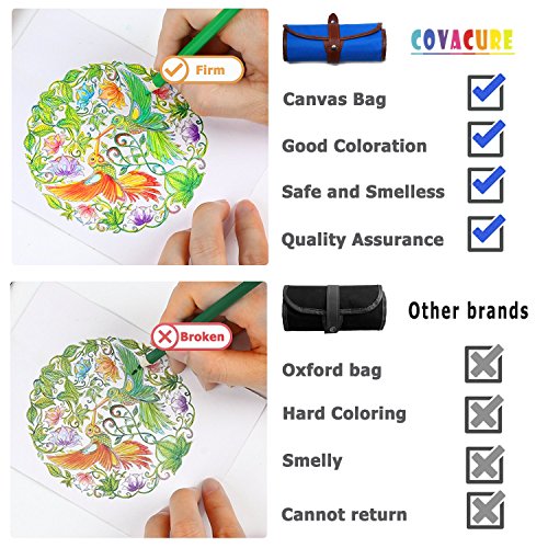 Buntstifte Set, 36 Brillanten Farben Bleistift Set mit Leinwand Roll-up für Kinder & Erwachsene - 3