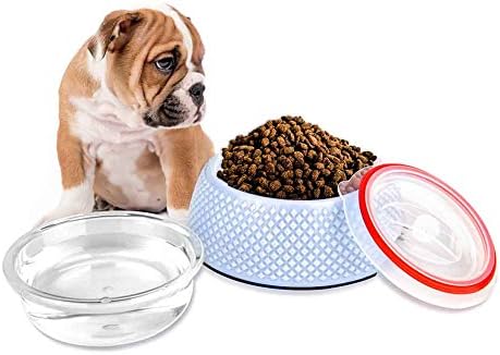 Sanzang 2 In 1 Dog Bowl Stable Pet Feeder Bottle Seal Kitten Food Water Bowl(Blue,S)