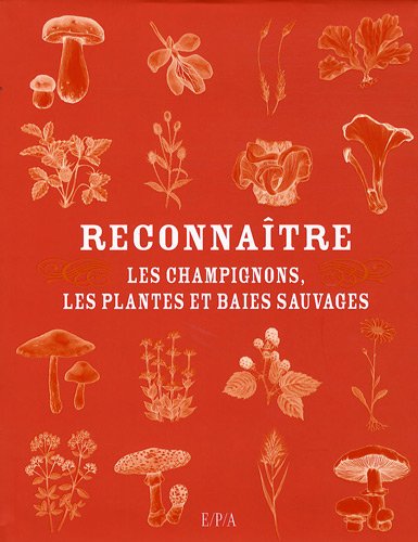couverture de : Reconna&icirc;tre les champignons, les plantes et baies sauvages
