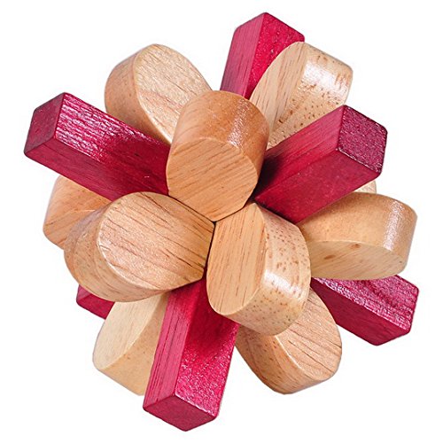 KINGOU 6 Packed Wooden Puzzles IQ Challenge Puzzle Set Brain Teasers Logic Puzzles Interlocked Toys, Adult / Kids