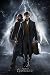 Produktbild Fantastic Beasts The Crimes Of Grindelwald"Newt und Dumbledore", Maxi Poster, 61 x 91.5 cm