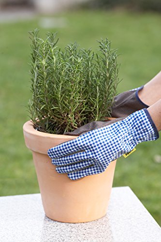 Meister Handschuh „Flower Plus“ Gr. 10/XL, blau, 9983720 - 3