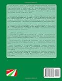 Image de Manual de Encuestas de Movilidad: Preferencias Declaradas