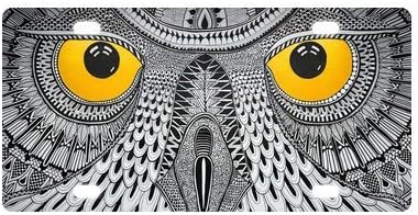 Owl Novelty Metal Car Tag License Plate by JIJIDA