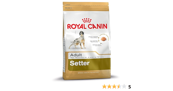 royal canin setter 12kg