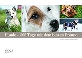 Hunde. 365 Tage mit dem besten Freund by 