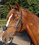 Inclusive Gummizügel Trense Mexikanische Reithalfter Reitzaum Mexikanisch VB WB , Vollblut VB Cob