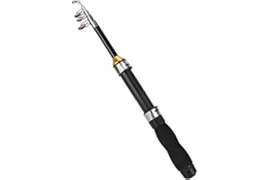Ejoyous Telescopic Fishing Rod, Portable Mini Pocket Fishing Rod Pen Rod Fishing Pole Ice Fishing Rod Mini Sea Fishing Tools 28049-100, Retractable Jigging Rod for Fishing Beginner and Angler(1.2M)