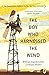 The Boy Who Harnessed the Wind (Young Reader's Edition) by William Kamkwamba, Bryan Mealer