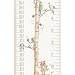 Talltape ('Tree') - Portable, Roll-up Height Chart Plus 1 Sharpie Mini Marker Pen To Measure Children From Birth To Adulthood - Choice of 8 Designs