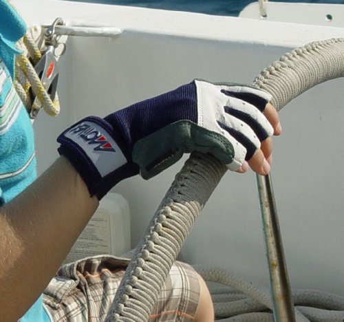 MOTIVEX Segelhandschuhe Rückseite Elasthan alle Finger kurz - 5