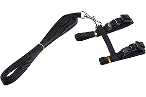 SOBOTOO Sotoboo Pet Control H Harness - Pure Colour Cat Kitty Kitten Harness With Lead Leash For Small Cats Dogs Puppy - Soft And Easy To Walking (Black)