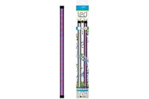 Ciano CLA 60/80 LED Light Unit - Fits Aqua 60 & 80 Aquariums (PINK/BLUE)