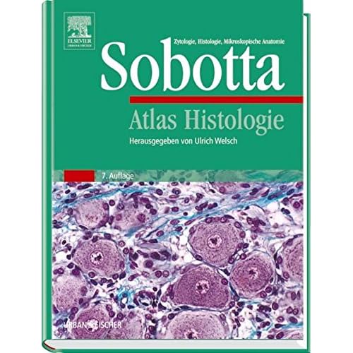 Pdf Atlas Histologie Zytologie Histologie Mikroskopische Anatomie Sobotta Kostenlos Download Lesen Sie Das Vollstandigste Online Buch 31