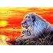 Produktbild MXJSUA 5D DIY Diamant Malerei von Nummer Kit Fulll Runde Dril Perlen Kristall Strass Stickerei Kreuzstich Bild liefert Kunst Handwerk Wandaufkleber Dekor Lion in Sunset 12x16In