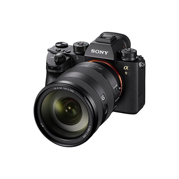 Sony FE 24-105mm f/4 G OSS - Teleobjetivo, Full-Frame, Rango Medio (SEL24105G) - Image 5