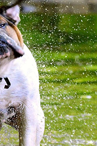 Preisvergleich Produktbild Bulldog Notebook