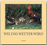 Image de Wie das Wetter wird. Bauernregeln für heute neu entdeckt (Flechsig - Geschenkbücher)