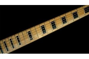 GUITARCUSTOM Blocks LP Fret Markers Inlay Stickers pegatinas Guitar & Bass Diapason (negro)