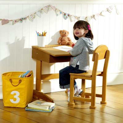 2 Piece Desk and Chair Set