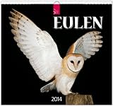 Eulen 2014: Original Stürtz-Kalender - Mittelformat-Kalender 33 x 31 cm [Spiralbindung] by 