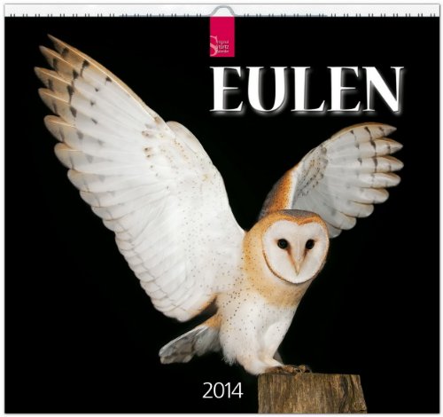Eulen 2014: Original Stürtz-Kalender - Mittelformat-Kalender 33 x 31 cm [Spiralbindung]