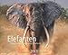 Elefanten 2013 by Weingarten