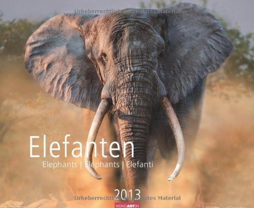 Elefanten 2013