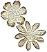 Produktbild Sizzix Movers und Shapers Mini Tattered Florals Magnet-Set, 2 Stück