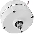 Mini Generatore a Turbine Generatore a Magneti Permanenti, Alternatore Elettrico Trifase a Corrente Alternata AVAN-400w Forni