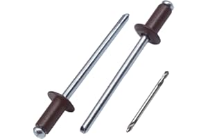 SKIR'CO Rivetti ciechi verniciati, 4,0 x 8 mm, in alluminio, punta da trapano inclusa, colore: Marrone cioccolato RAL 8017